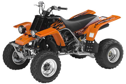 2008_YFZ350_VYRS4_CA_4.jpg